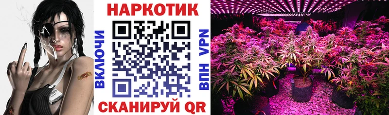 Наркошоп купить A PVP  Меф  Конопля  Котельнич