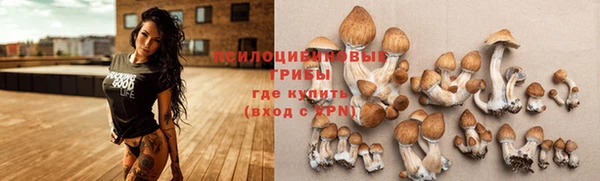 MDMA Premium VHQ Вязьма