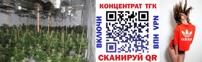 Купить  Котельнич  ТГК вейп 
